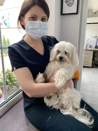 Gallus Przychodnia weterynaryjna. Weterynarz Ciechanów